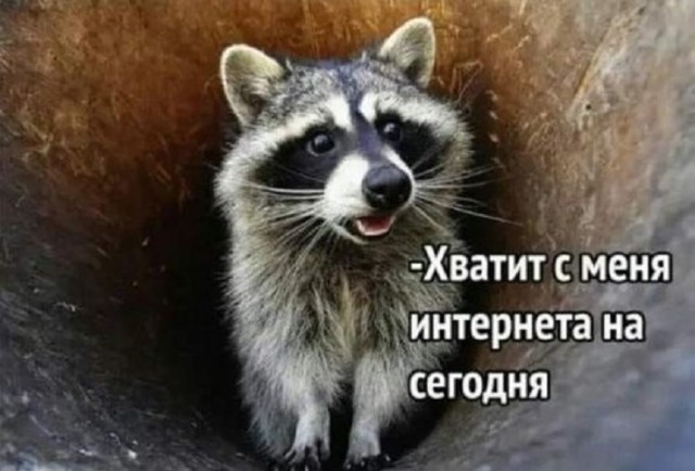 Картинки разные с надписями и без