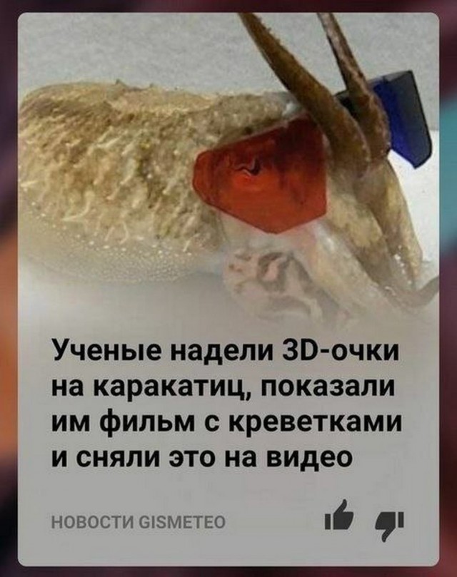 Быстрая деградация