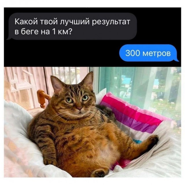 Картинки разные с надписями и без