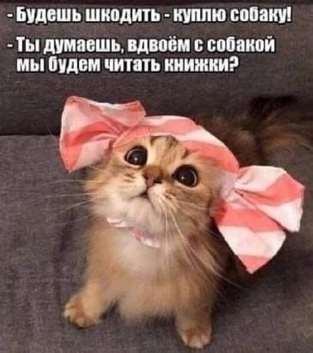 Так себе картинки 22.02.25