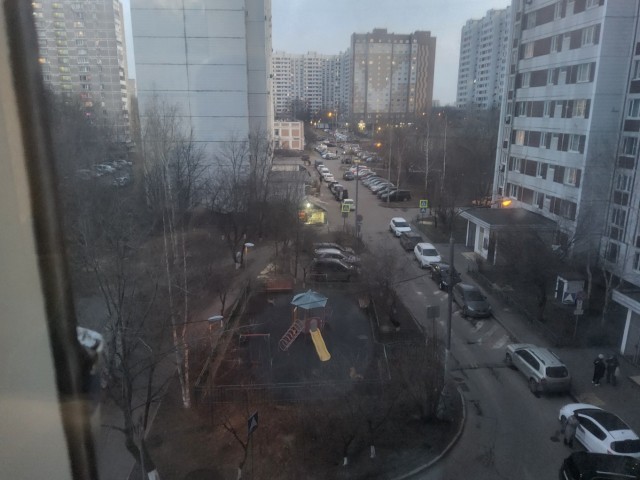 А вы посадили картошку?