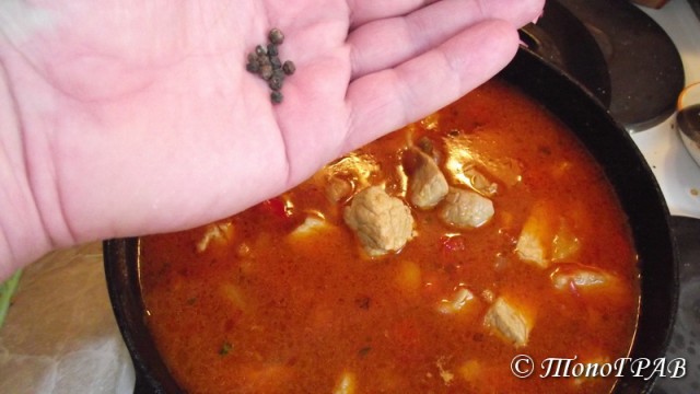 International одной книги., В память о Дженибеке.