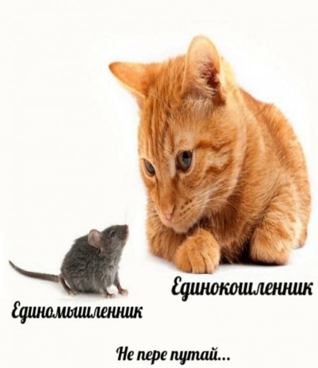 Решил поделиться моей коллекцией боянов