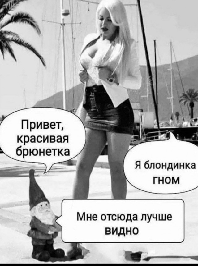 Так себе картинки 14.09.25