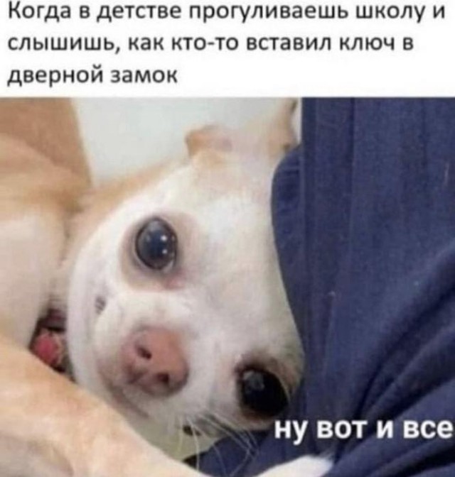 Картинки для деградации 59 (разной степени свежести)