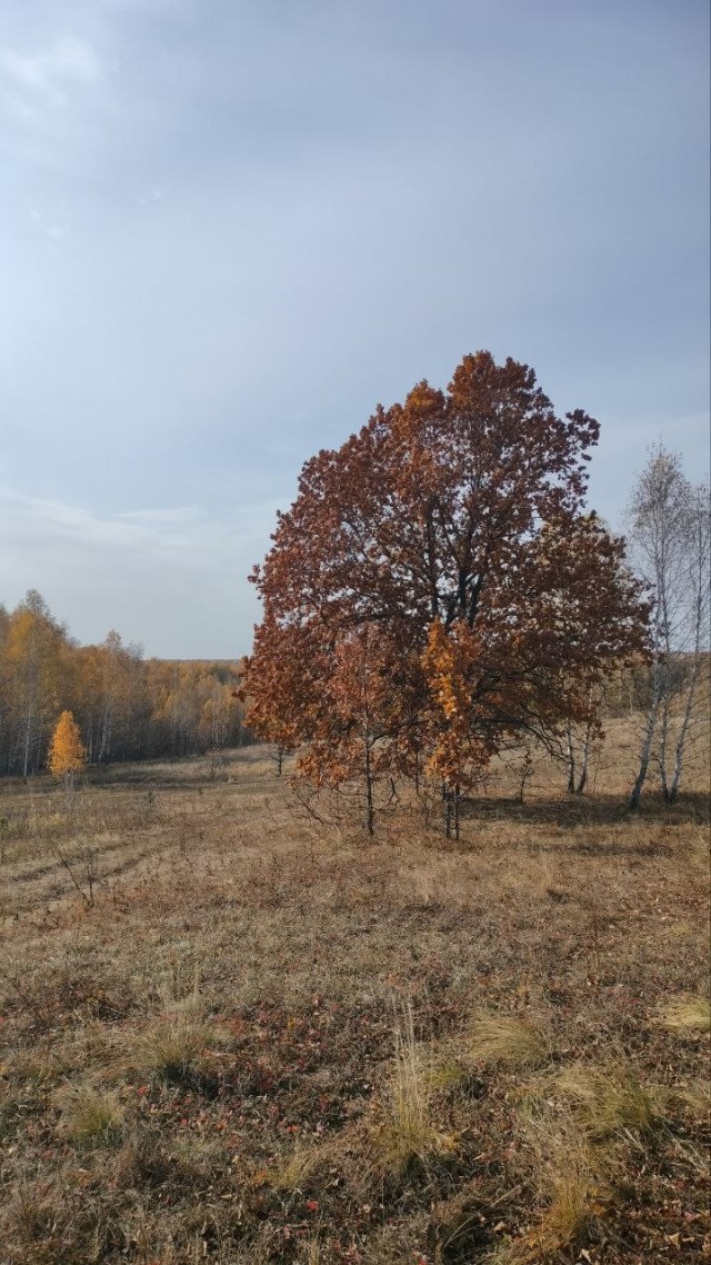 Осень в объективе.