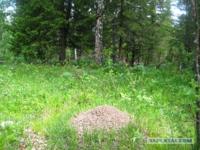 Затерянный уголок России.