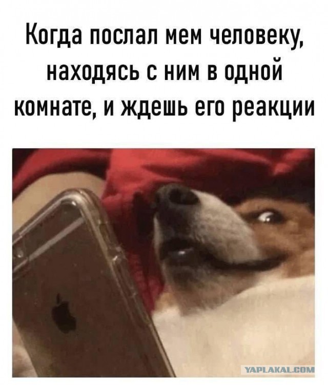 Так себе картинки 15.11.25
