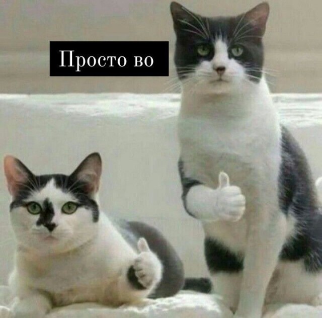 Снега нет, солнца нет, а настроение есть