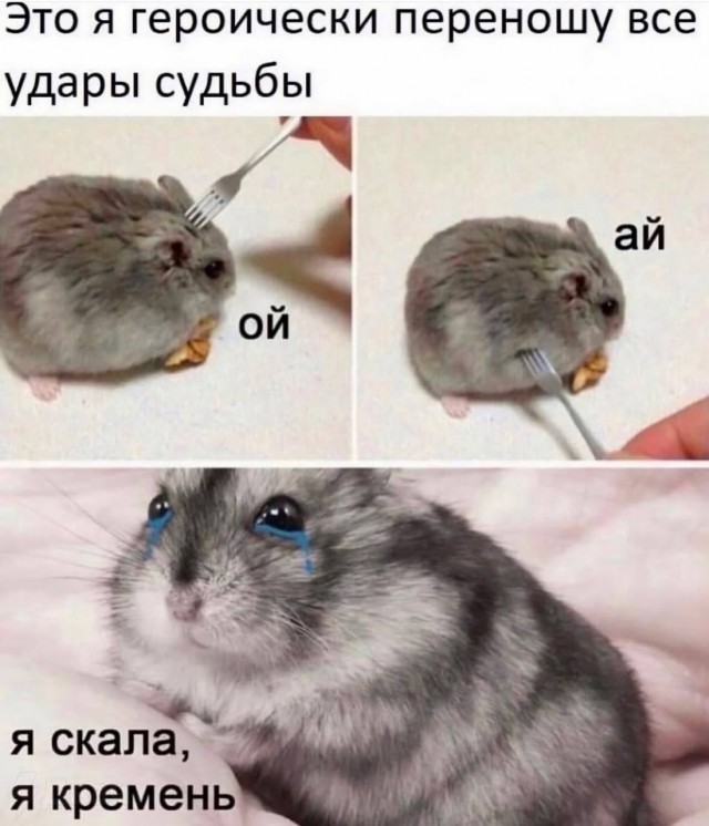 Вторника картинки