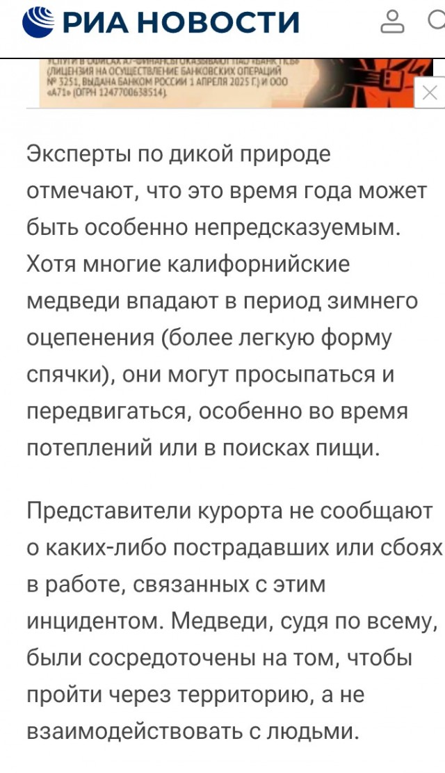 Кирпичи с трассы ещё долго убирали