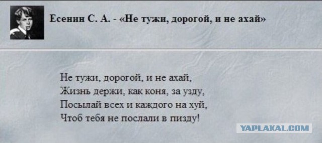 А вам о чём мат говорит?