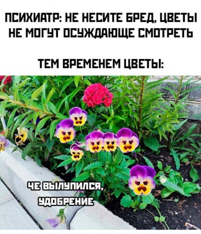 Аспарагусы