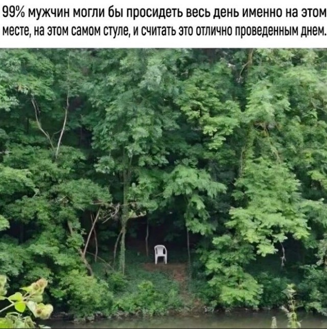 Картиночки, баянчики 12 июня