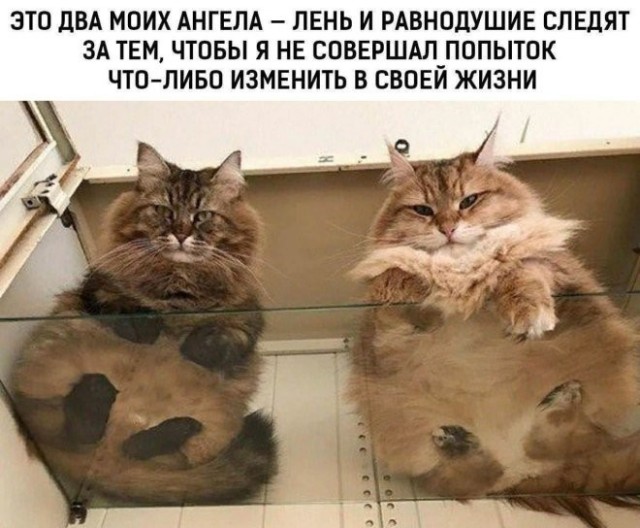 Так себе картинки 17.06.26