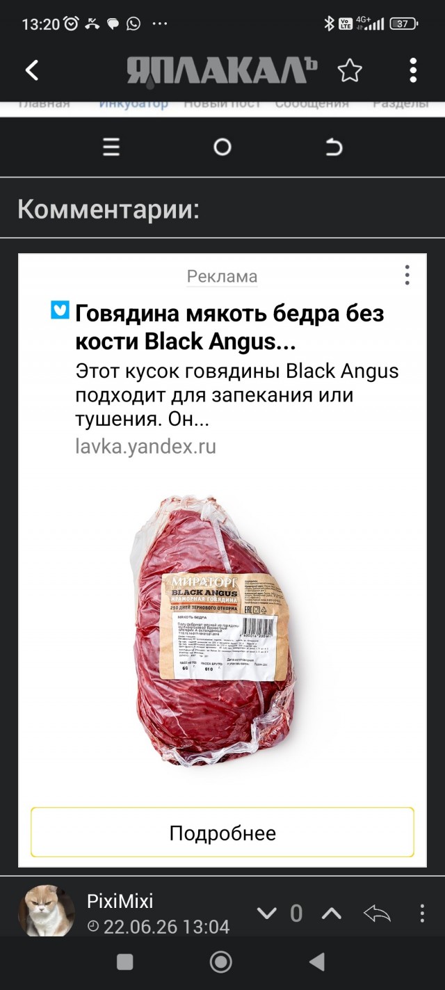 БДСМ