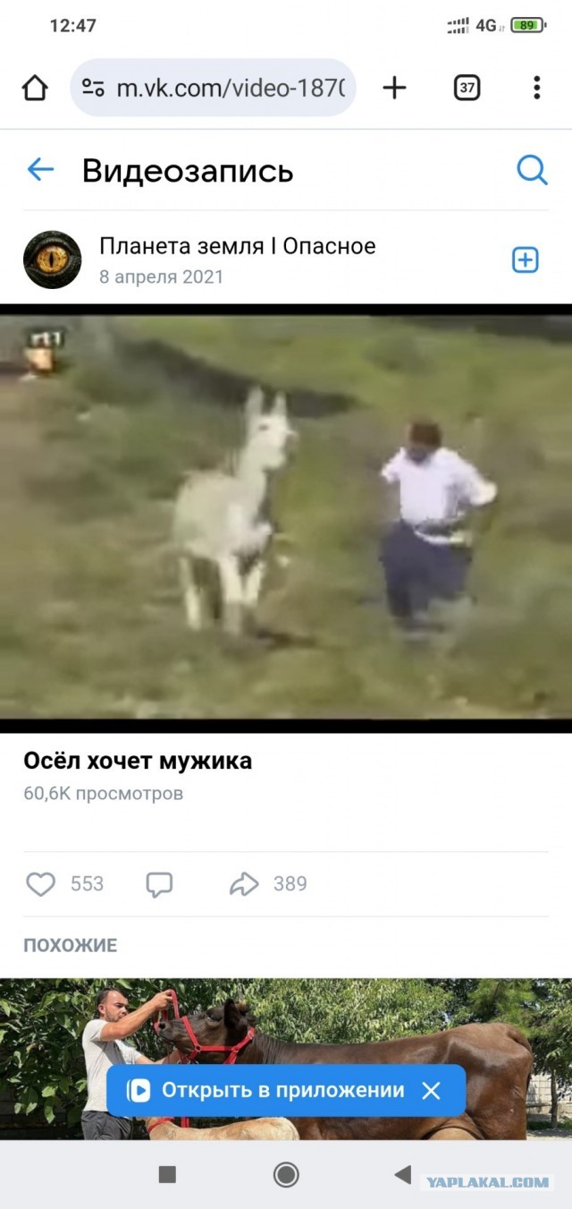 «Ублюдок, мать твою, а ну иди сюда!»