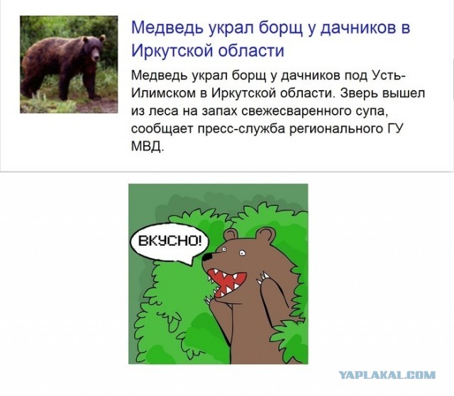 На Камчатке мужчина отбил у медведя жену.
