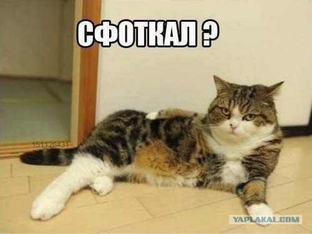 Не про олимпиаду