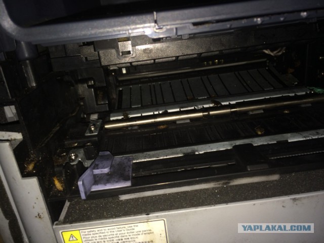 Поступил принтер на ремонт