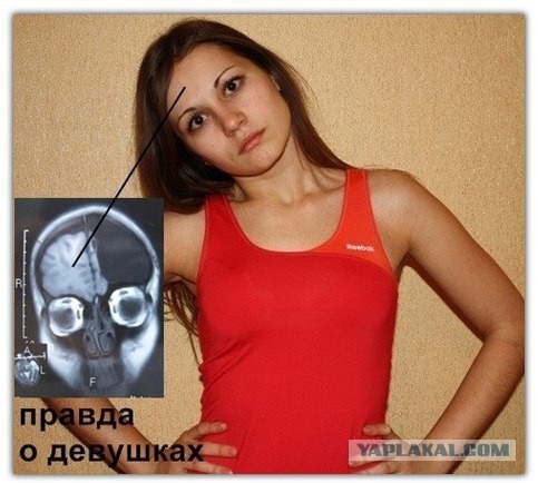 Учёные смогли понять