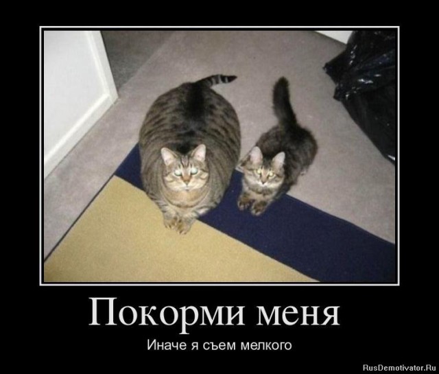Вы хотите "демов"? часть 2-я