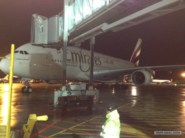 Новогодний чес