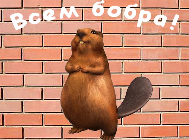 Надписи