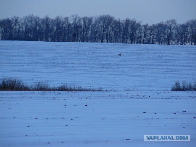 Немного моих фото, авторское
