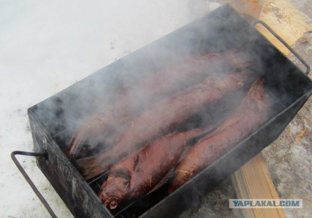 Сходил на зимнюю рыбалку