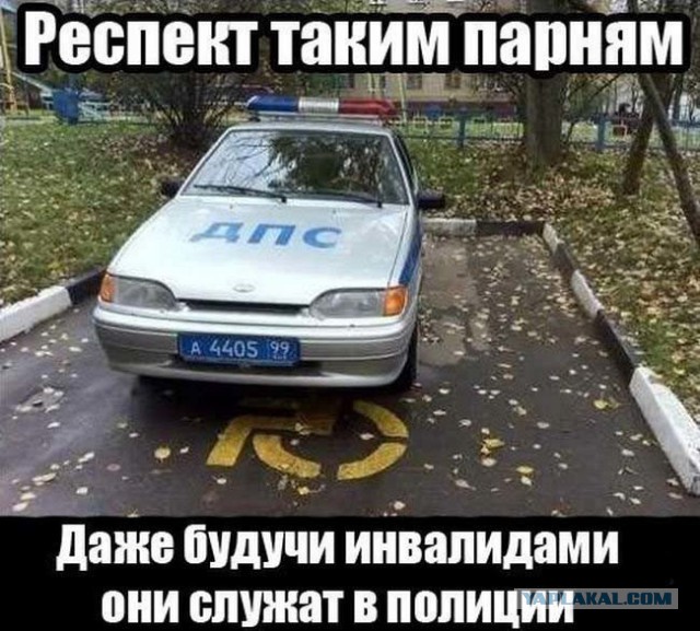 Порция картинок из сети