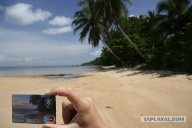 Картинки и приколы из сети