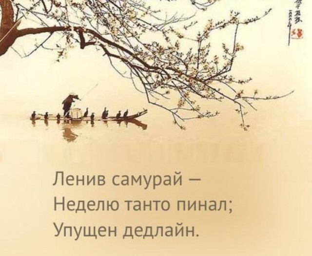 Смешные комментарии из социальных сетей 02.12.2016