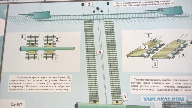 Каникулы во Владивостоке