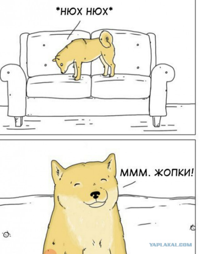 Зима зимой, а пятой точкой посветить нужно