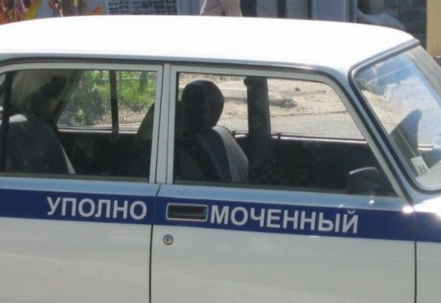 Картинки всякие для поднятия настроения!