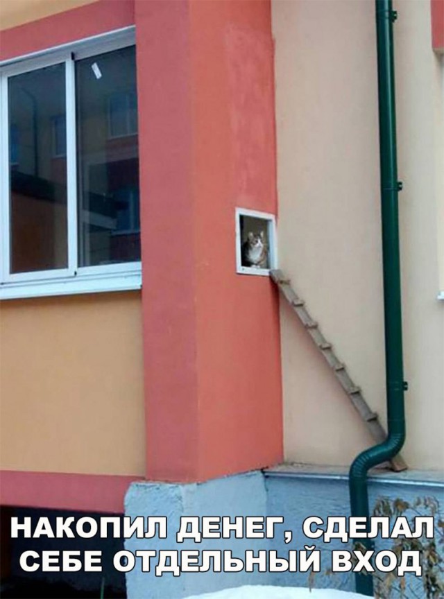Нестандартный юмор