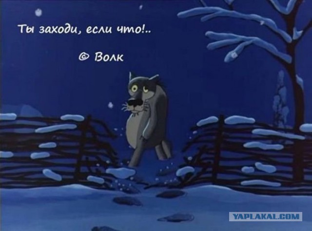 Новая подруга Петросяна