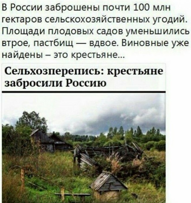 Единороссы внесли в Госдуму законопроект о налогообложении личных подсобных хозяйств (ЛПХ)