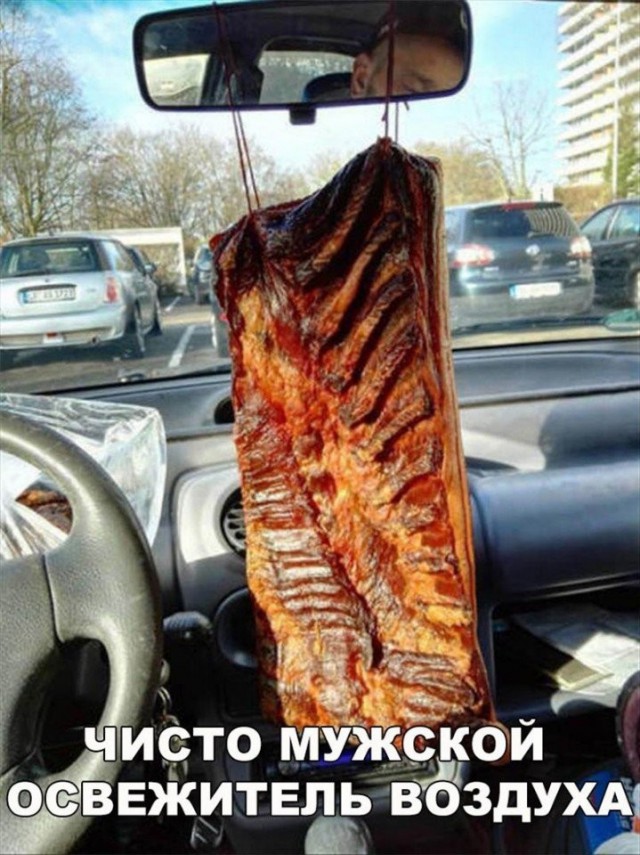Лента прикольных картинок