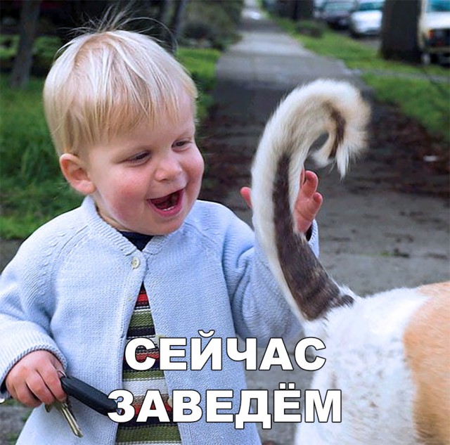 Нестандартный юмор