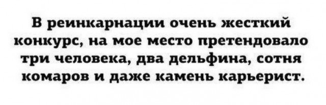 Наркомания, весеннее обострение и деградация