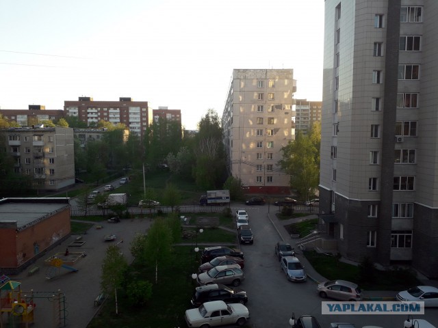 Лето, делимся видом из окна