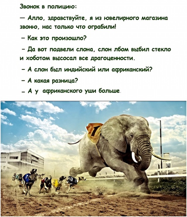 Картинки с надписями и анекдоты