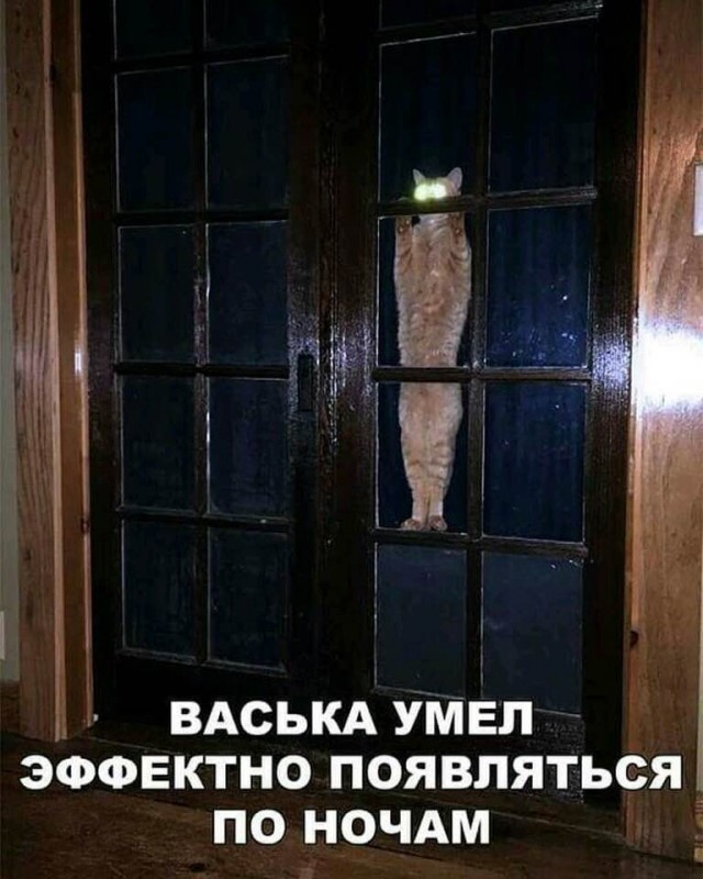 Разных картинок пост 09/09/19