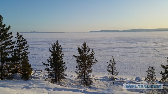 Братск опять накрыло волной выбросов