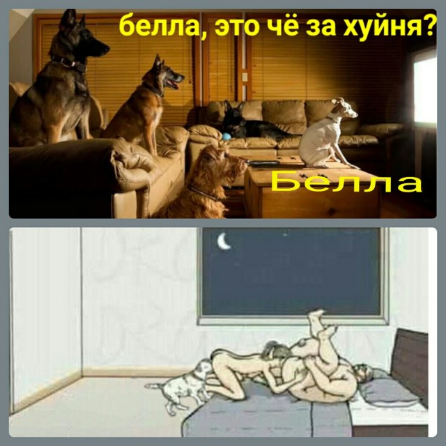 "Это отвратительно!"
