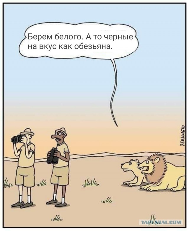 Не все американские полицейские хотят вставать на колени