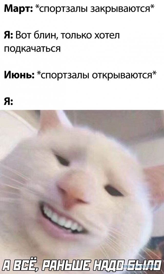 Бредзона 21.06.2020