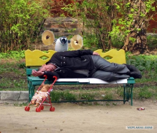 Притомился и прилёг...